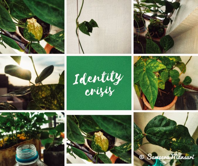 Click on more for reading the poem 